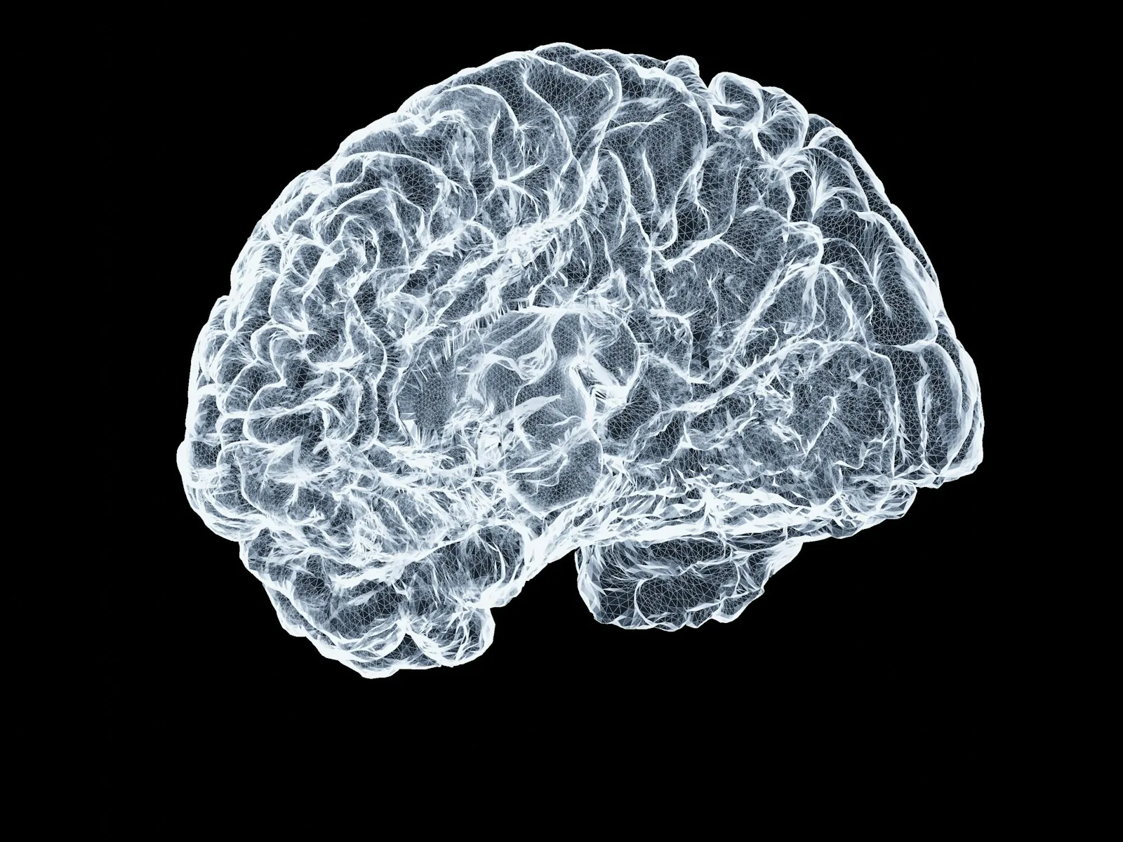 Oxford Brain Diagnostics
